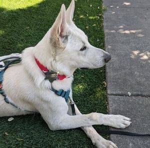 Meet your Posher, Linda